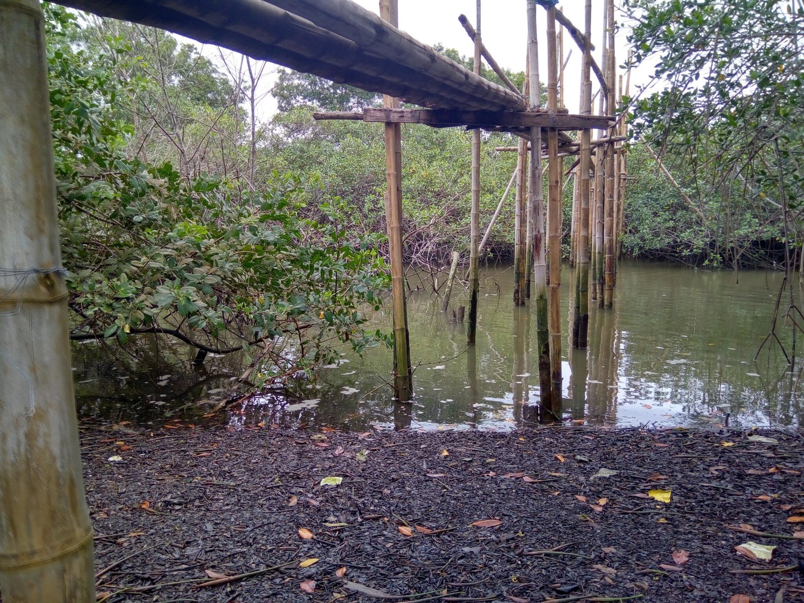 El Rio Sarnoso
