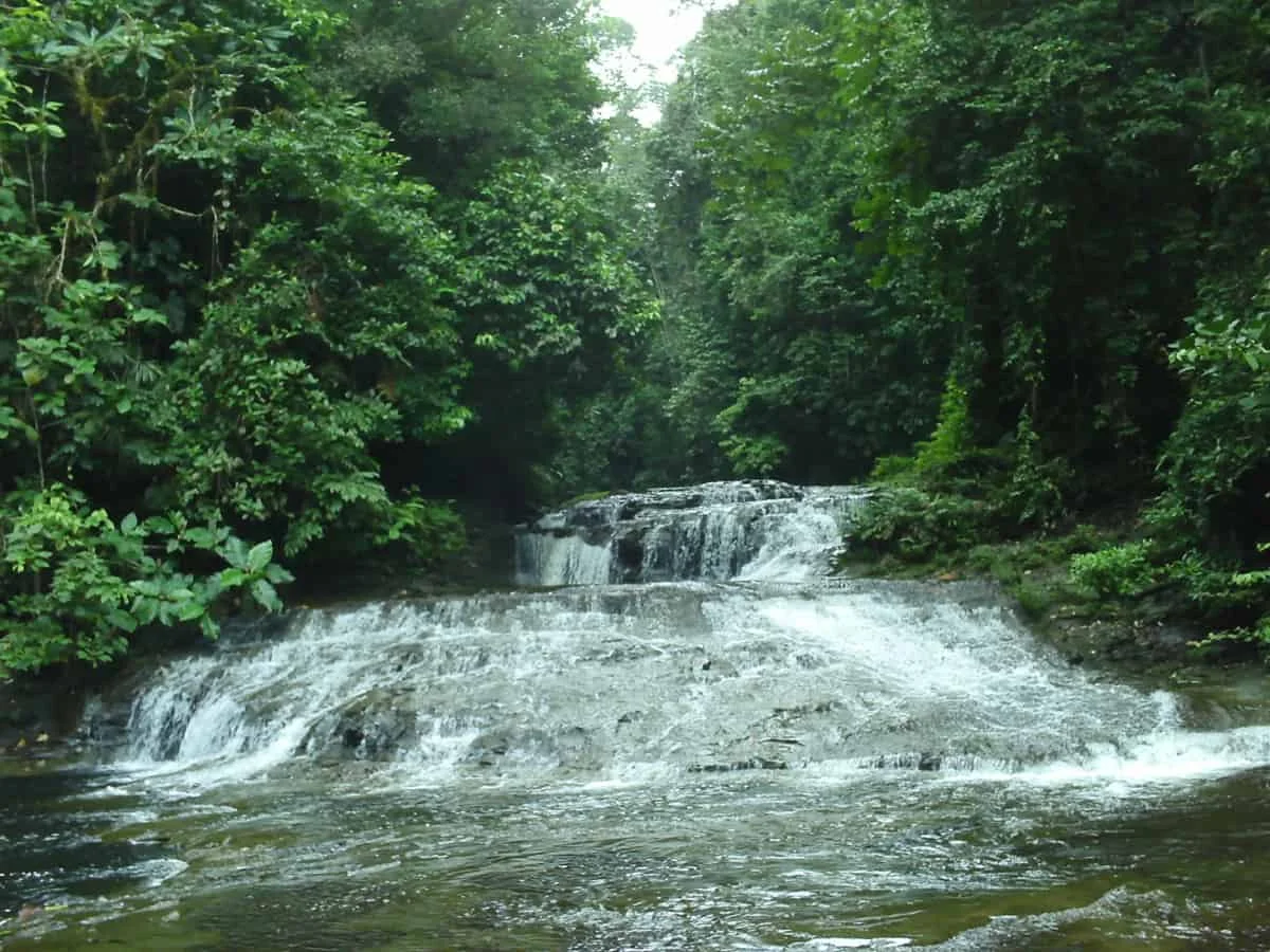 Reserva Ecológica Mache-Chindul