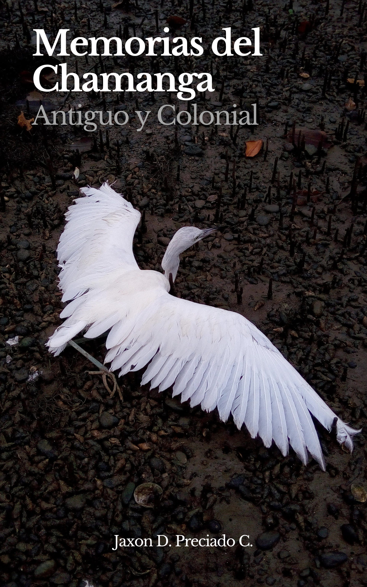 Portada de Memorias del Chamanga Antiguo y Colonial